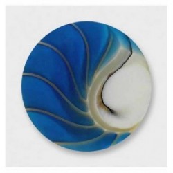 Monedas Mi Moneda M-NAU-40-L tamaño grande