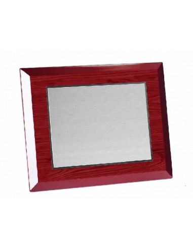 Placa plata ley 12895-2E